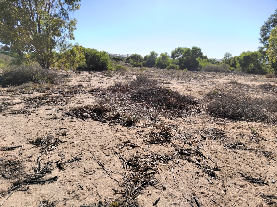 0 Bedroom Property for Sale in Brittania Beach Estate Western Cape